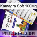 Kamagra Soft 100Mg 11